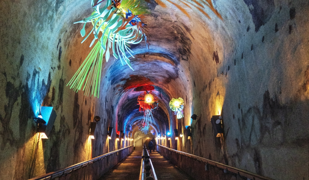 Vignette pour la visite guidée des caves