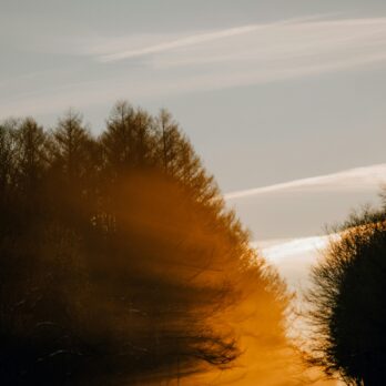 donnie-rosie-WbjtAqSZ4Eg-unsplash