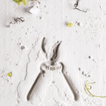 72588b58e3f30cc5448bab10cd2aa5ea402c1e97