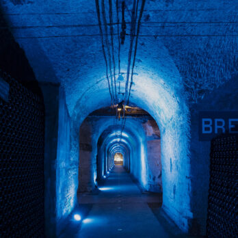 EXP POMMERY #17 FOREVER_Couloir Bristol©Mathilde-Giron-1