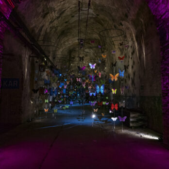 EXP POMMERY #18 Mélodies en Sous-sol, Encoreunestp, #Papillonsdansleventre_5©mathilde-giron