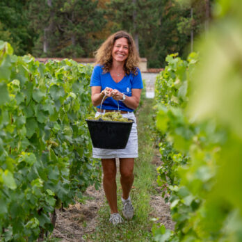 POMMERY-VENDANGES-HD_43