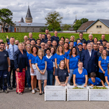 POMMERY-VENDANGES-HD_50